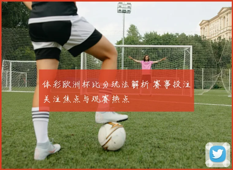 体彩欧洲杯比分玩法解析 赛事投注关注焦点与观赛热点