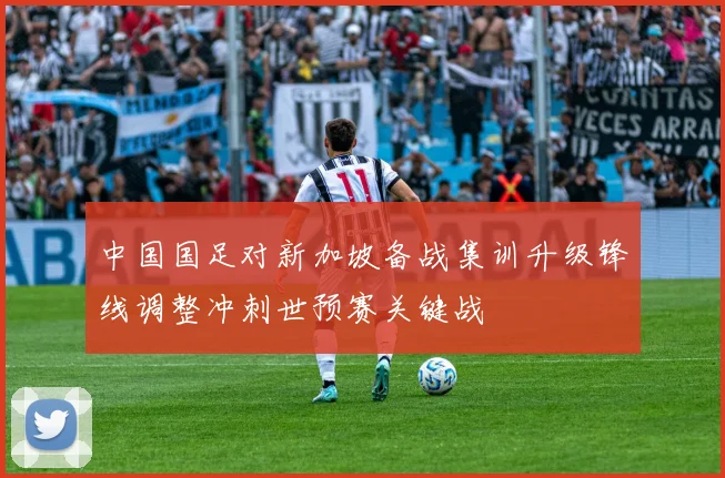 中国国足对新加坡备战集训升级锋线调整冲刺世预赛关键战
