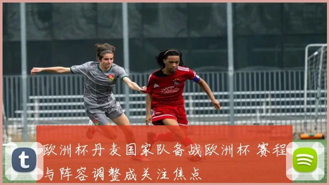 欧洲杯丹麦国家队备战欧洲杯 赛程与阵容调整成关注焦点